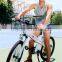 Seagull,highly appreciated 26 inch new experience 500watt ebike