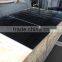 Black Granite Pavers