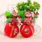 Santa Claus Christmas tree ornaments decorate ornaments