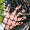 black chain link fence