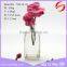 European table decorative glass diffuser bottle