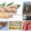 Vietnam Fresh ginger