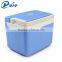 Good Design Thermoelectric Cooler Micro Car Fridge 10 Liters Portable Car Cooler Mini Fridge