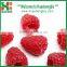 Chinese Fresh Frozen Raspberry