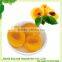 canned yellow peach halves high quality. low price