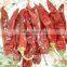 Chinese Dried Chili/chili Peppers,American Red Chili