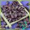 Dry Round Black Purple Speckled Kidney Beans Price