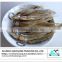 Dried Anchovy fish supplier