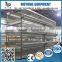 Philippines poultry farm automatic chicken layer cage for sale