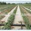 Wholesale good quality 16mm PE material automatic irrigation system PE tape for small scale famers