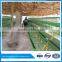 layer rearing cage for poultry farm chicken house