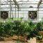 Hot in Africa! Wall Mounted Exhaust Ventilating Fan For Poultry or Greenhous