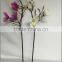 High quality artificial magnolia flowers for export
