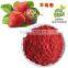 Halal passed Flavoured raspberry fruits juice powder