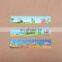 Factory Manufacture High Quality Promotional Gift pp Plastic Ruler