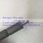 Diesel Common rail Injector 0 445 110 183