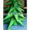 Christmas family and commercial Inflatable Christmas gift tree For  Christmas and New Year Events