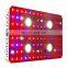 COB 1000W LED Grow Light Full Spectrum VEG Blooming lights  for greenhouse waterproof cultivation light