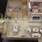 Residential interior layout model with furniture for architect design