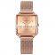 HANNAH MARTIN 108 Square Simple Women Water Resistant Mesh Strap Watches Analog Ladies Stainless Steel Watch