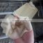 samosa sheet/pastry making machine