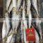2015 Frozen Sardine wr for Fishing Bait 90-120pcs/ctn