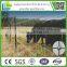 Hot Dipped Galvanized Hinge joint Field Fences