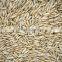 OATS