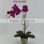 potted plant artificial orchid flowers