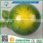 Greenflower 2016 Wholesale Form fruit watermalon China Home resturuante decor