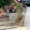 Girl Tempered glass for Mobile phone 6G 6plus 4.7" 5.5"