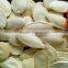 2015 Crop wholesale shin skine Pumpkin Seeds