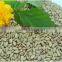 Hulled Sunflower Kernel Confectionary Grade and Hulled Sunflower Kernel Bakery Grade.