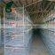 H type automatic poultry farm egg layer cage