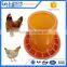 new design durable plastic poultry feeders drinkers