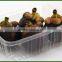 Clear disposable cheap packaging PET plastic food fruit tray