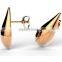 Rose Gold 925 Silver Earrings Stainless Steel Earrings Fashion Design Drops for Woman