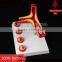 Atherosclearosis and thrombosis model