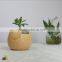 Hotsale China Fashion Pottery Flower Pot