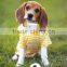 wholesale gps tracker/pet gps tracking