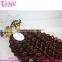 Kinky Curly Double Beads Brazilian Remy Human Hair Loop Micro Ring Hair Extensions For Blacks