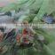 Factory Free Sample 100% Real Silk Chiffon Digital Printed Shawl