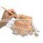 Excavation dig kit of Real Fossil
