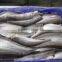 Frozen canadian hake HGT fish seafood supplier in china