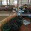 lao pure high quality