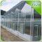 PC greenhouse with galvanized structure single span with automatic ventilation