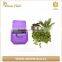 Vertical Wall Mount Garden Plant Grow Container Bags Living Felt Wall Hanging Planter