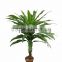 HX0104212 artificial lucky potted tree for home decoration