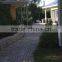 HZY-115 Golden Peach Granite Paving Stone