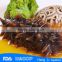 Best price frozen sea cucumber cleaned